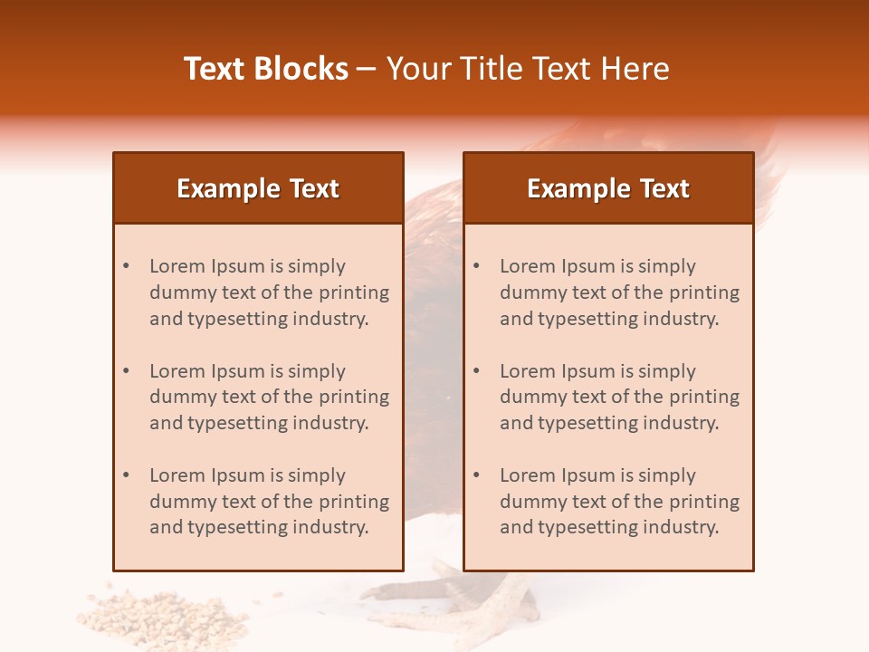 Hen One Isolated PowerPoint Template