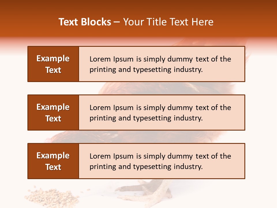 Hen One Isolated PowerPoint Template
