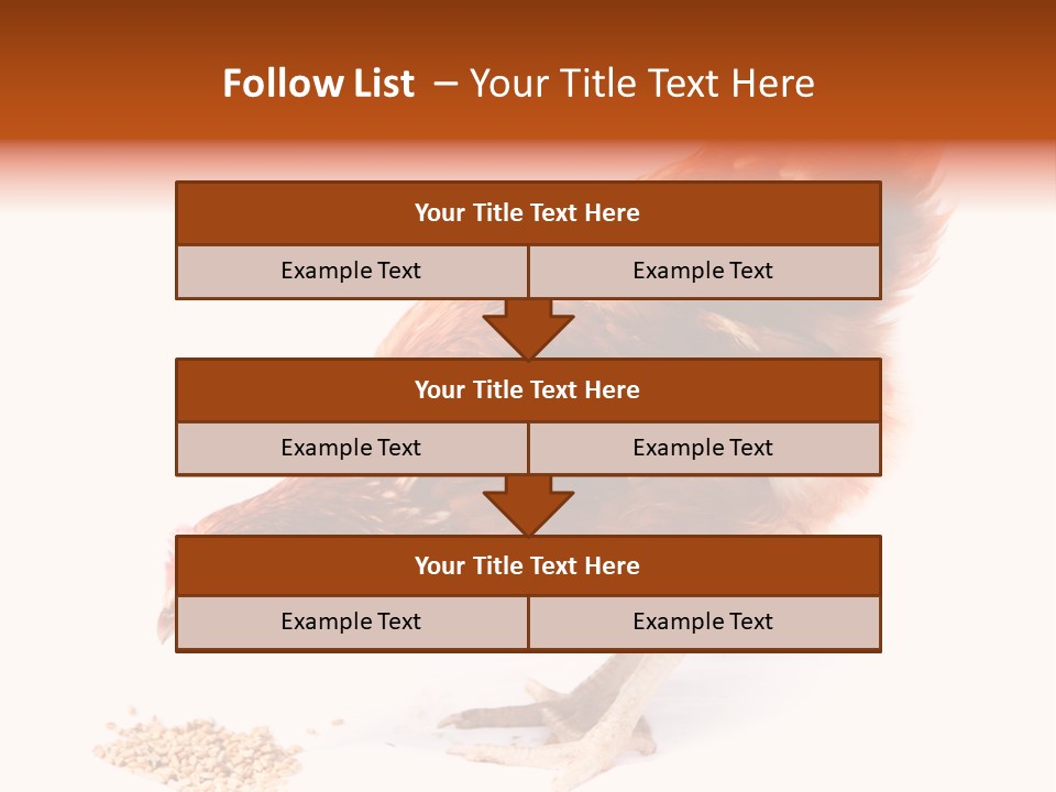 Hen One Isolated PowerPoint Template