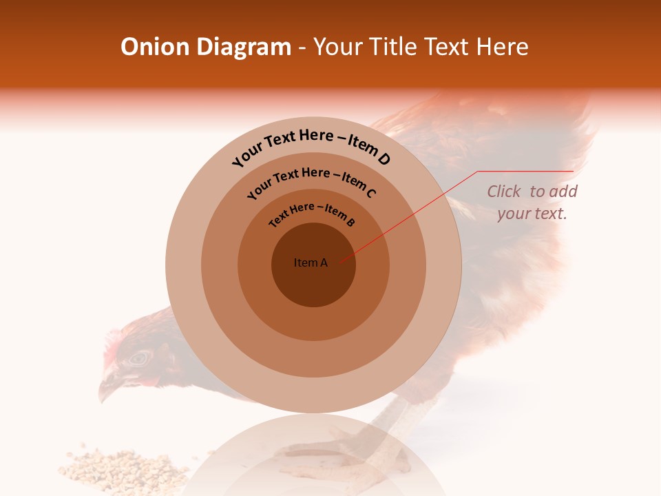 Hen One Isolated PowerPoint Template