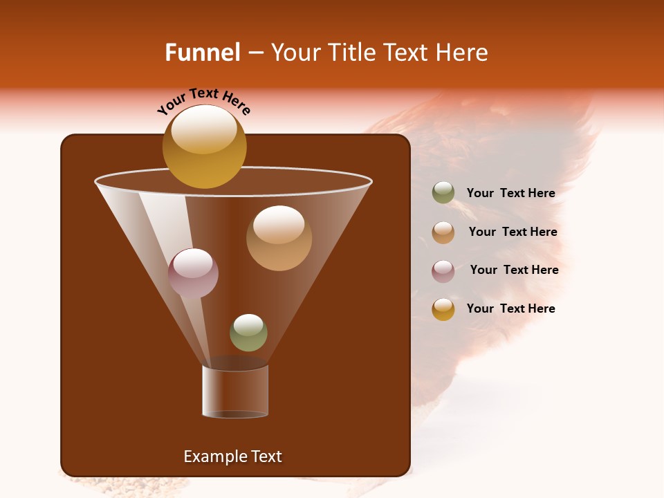 Hen One Isolated PowerPoint Template