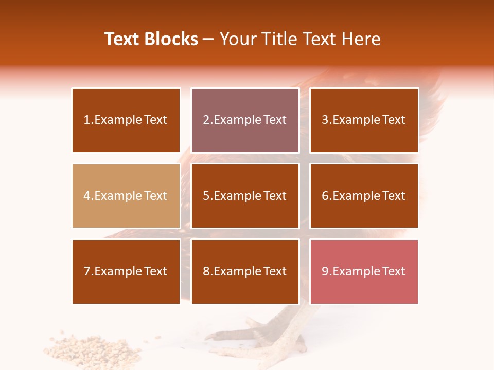 Hen One Isolated PowerPoint Template