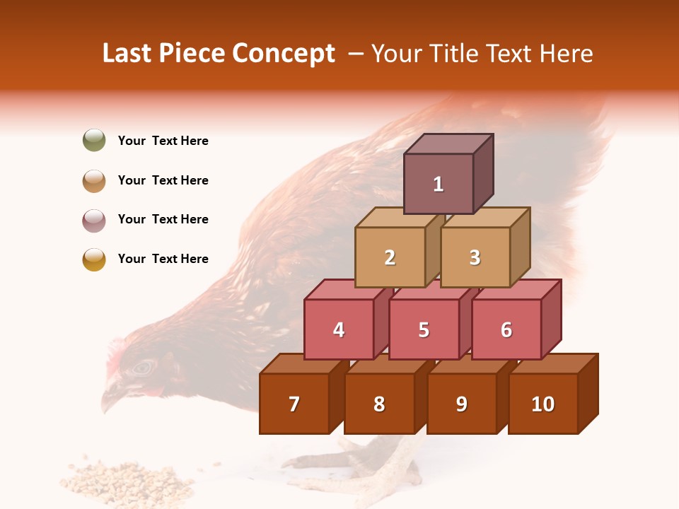 Hen One Isolated PowerPoint Template