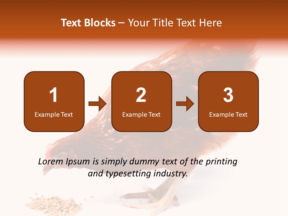 Hen One Isolated PowerPoint Template