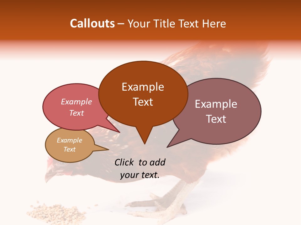 Hen One Isolated PowerPoint Template