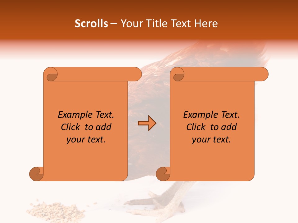 Hen One Isolated PowerPoint Template