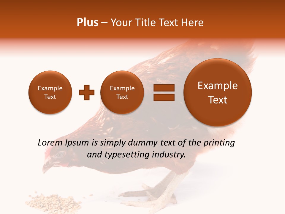 Hen One Isolated PowerPoint Template