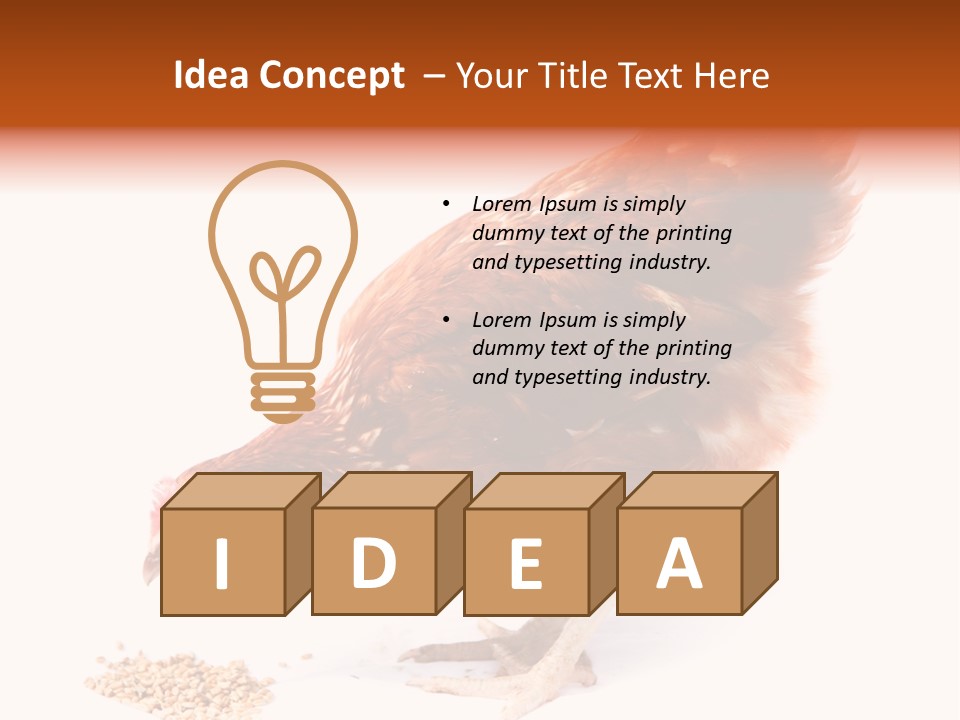 Hen One Isolated PowerPoint Template