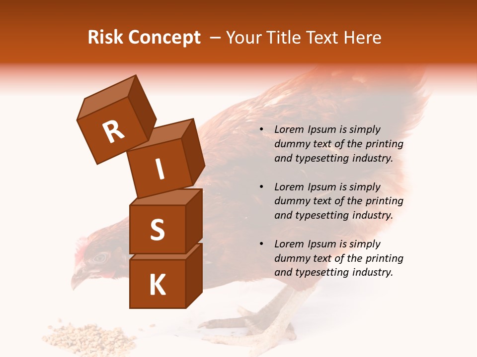 Hen One Isolated PowerPoint Template