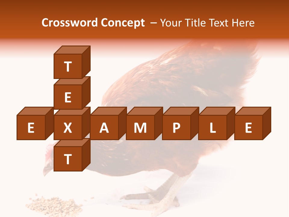 Hen One Isolated PowerPoint Template