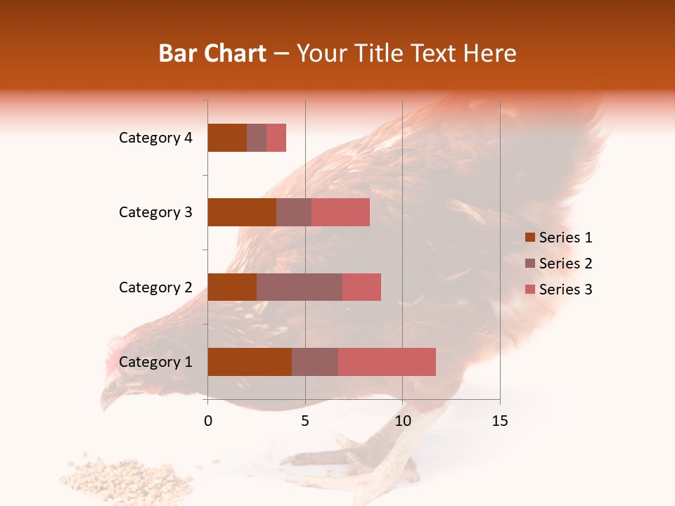 Hen One Isolated PowerPoint Template