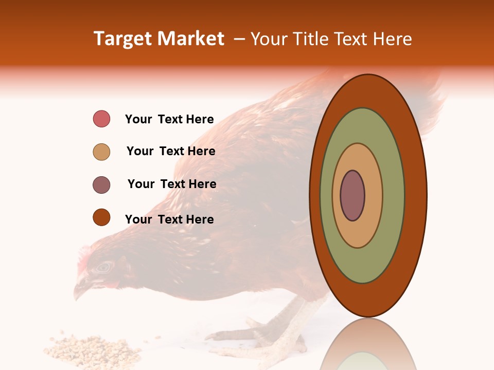 Hen One Isolated PowerPoint Template