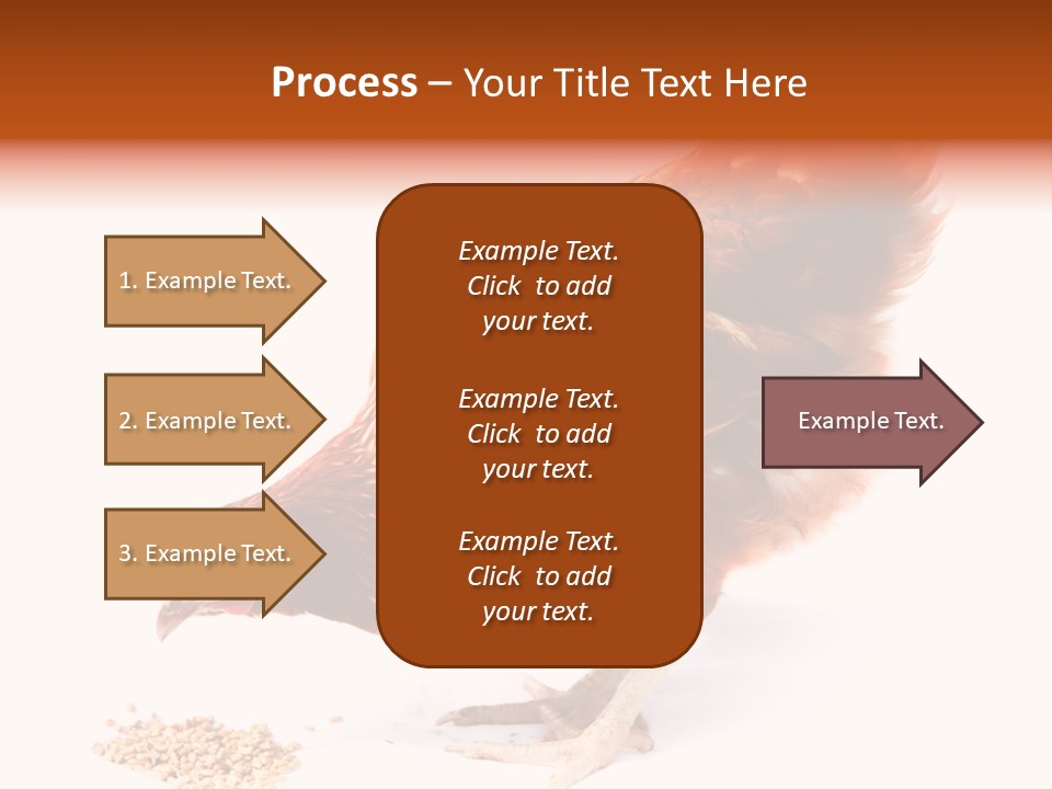 Hen One Isolated PowerPoint Template
