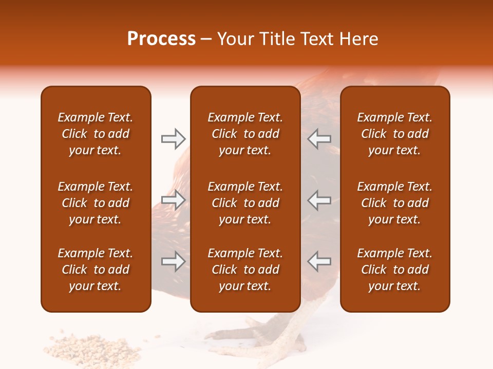 Hen One Isolated PowerPoint Template