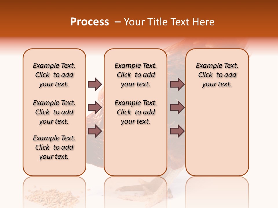Hen One Isolated PowerPoint Template