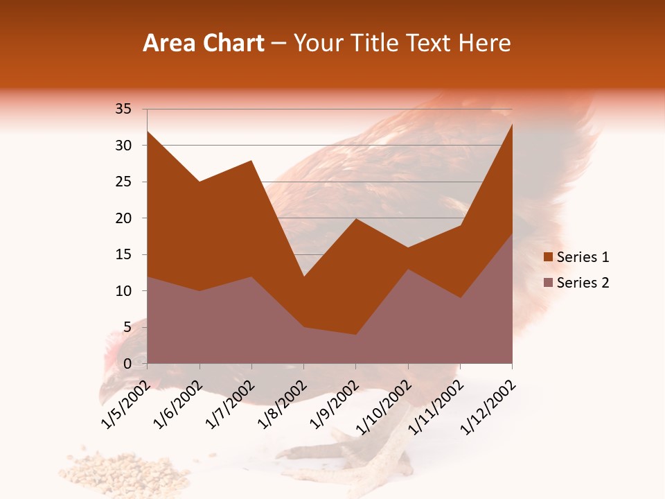 Hen One Isolated PowerPoint Template