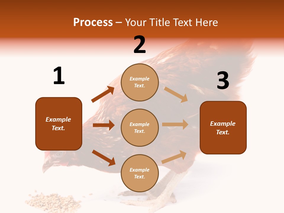 Hen One Isolated PowerPoint Template