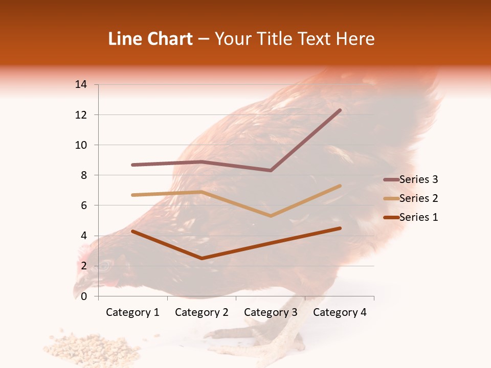 Hen One Isolated PowerPoint Template