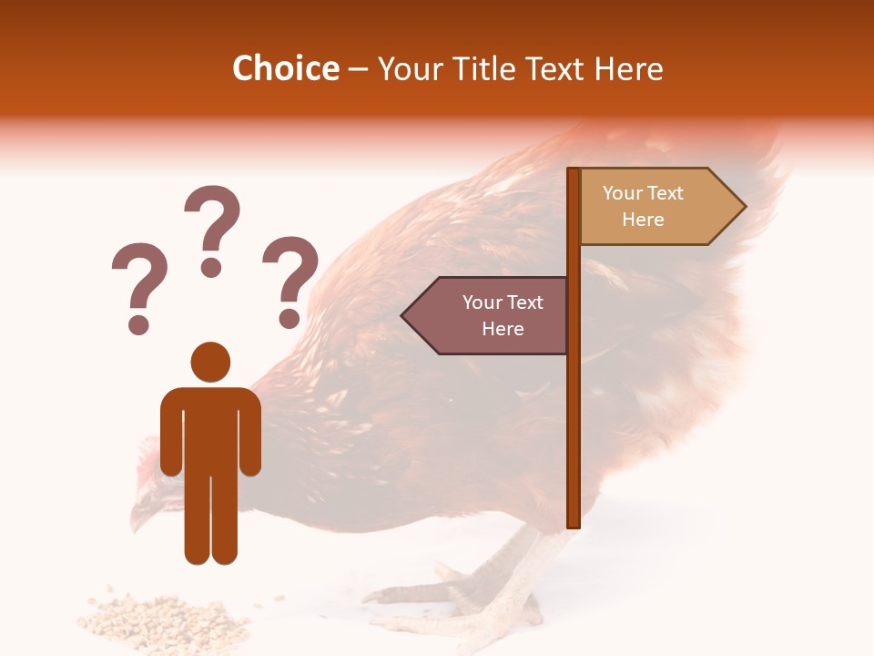 Hen One Isolated PowerPoint Template