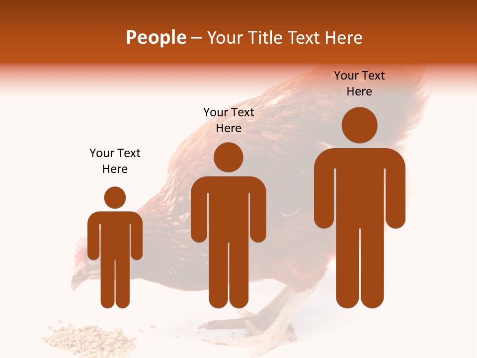 Hen One Isolated PowerPoint Template