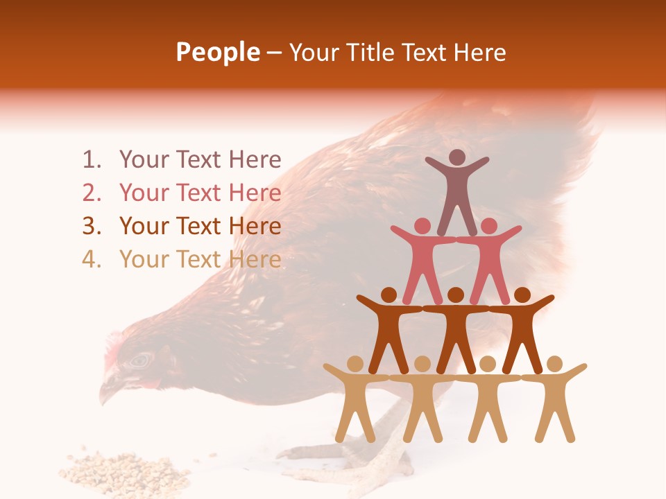 Hen One Isolated PowerPoint Template