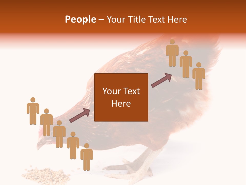 Hen One Isolated PowerPoint Template