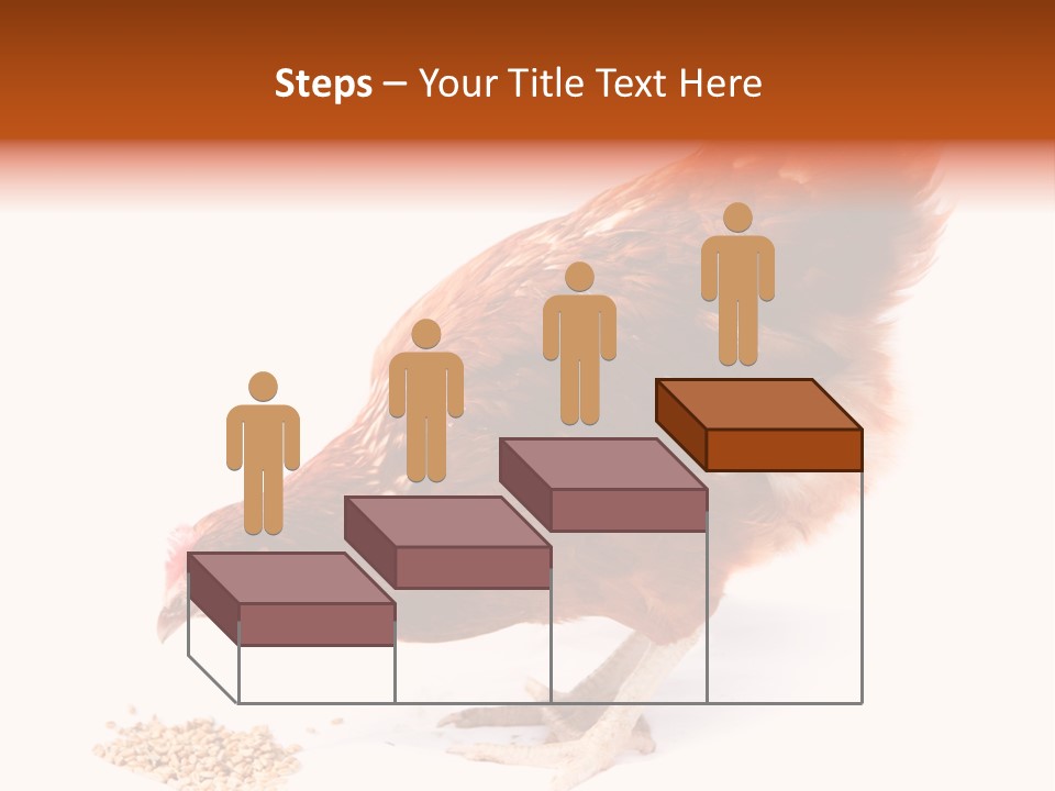 Hen One Isolated PowerPoint Template