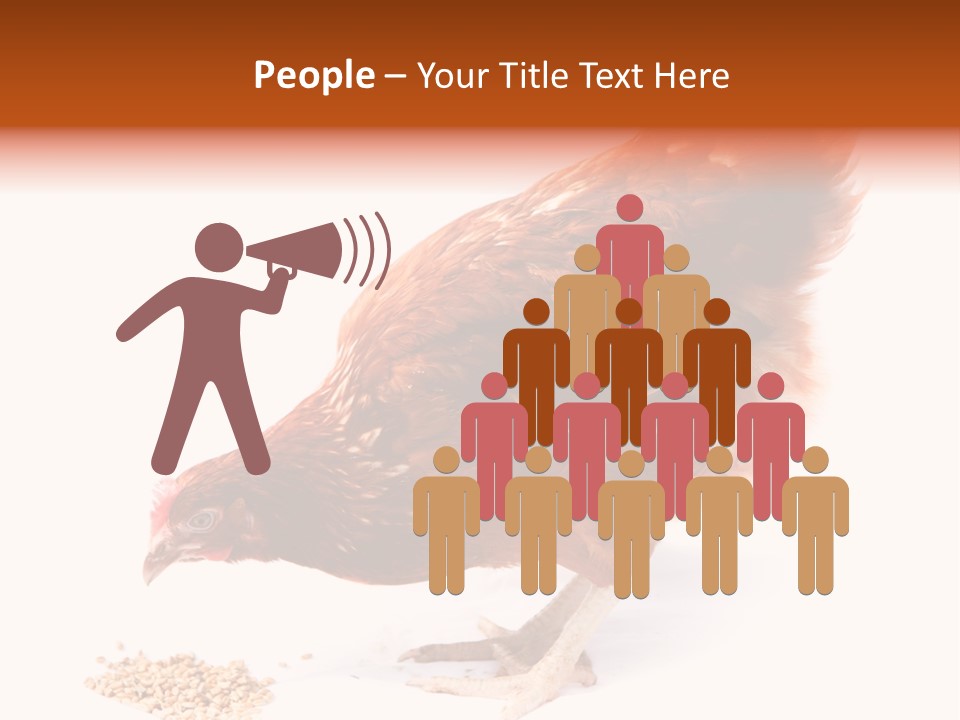 Hen One Isolated PowerPoint Template