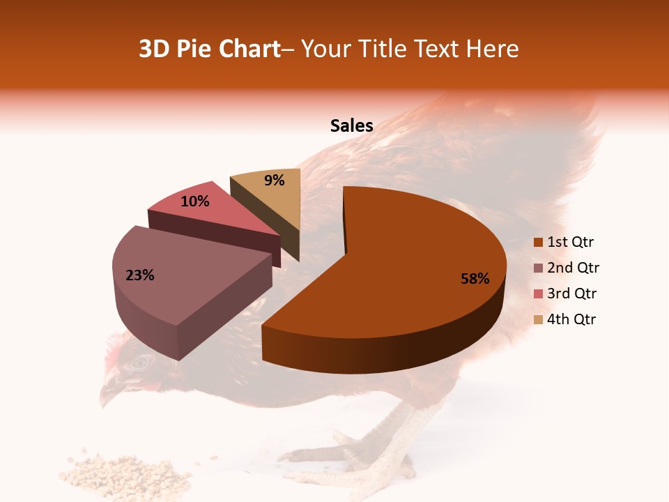 Hen One Isolated PowerPoint Template