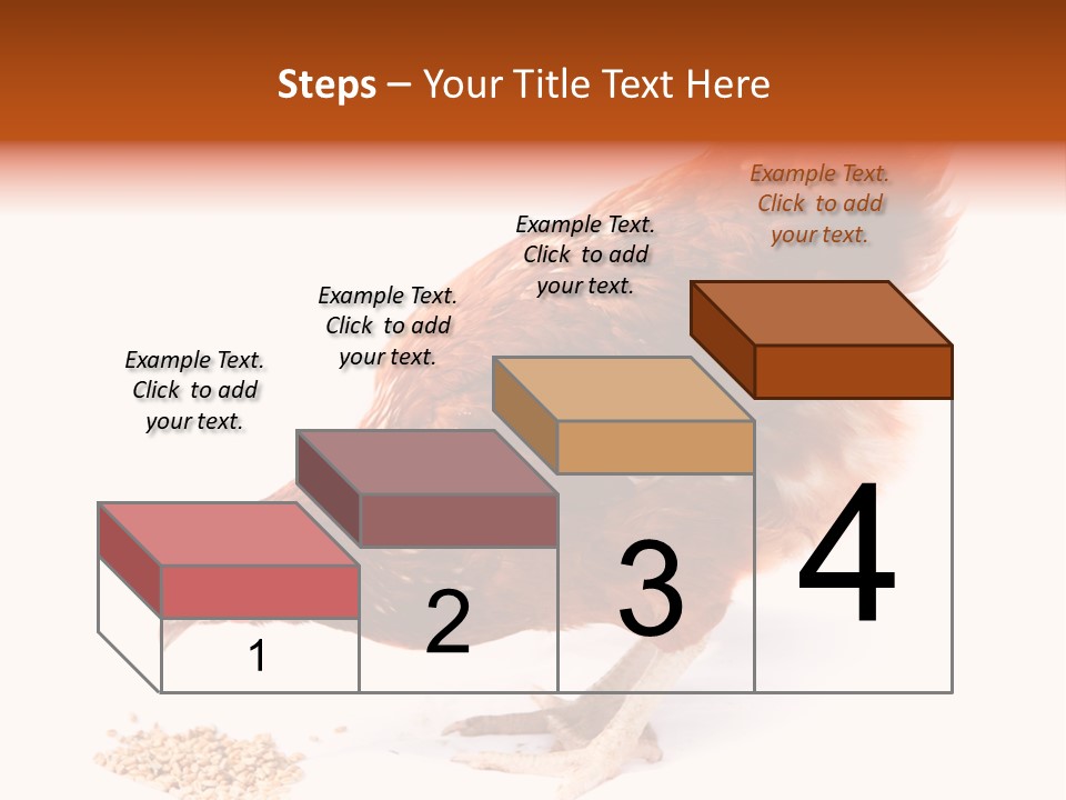 Hen One Isolated PowerPoint Template