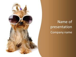 Close Up Nobody Dog PowerPoint Template