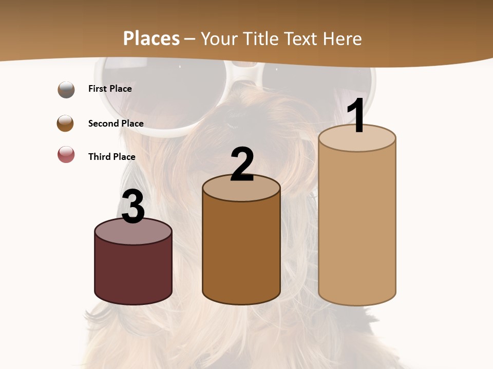 Close Up Nobody Dog PowerPoint Template