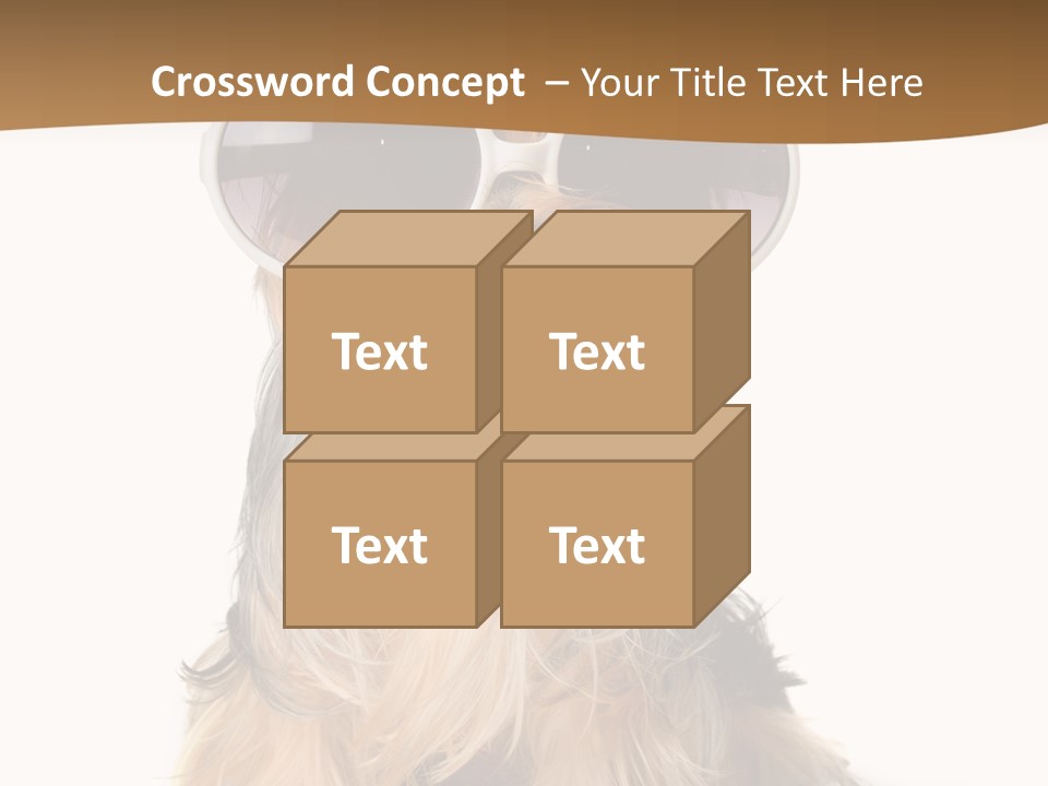 Close Up Nobody Dog PowerPoint Template