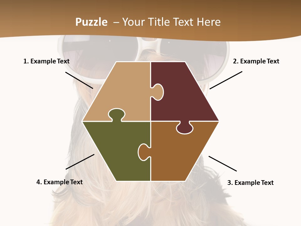 Close Up Nobody Dog PowerPoint Template