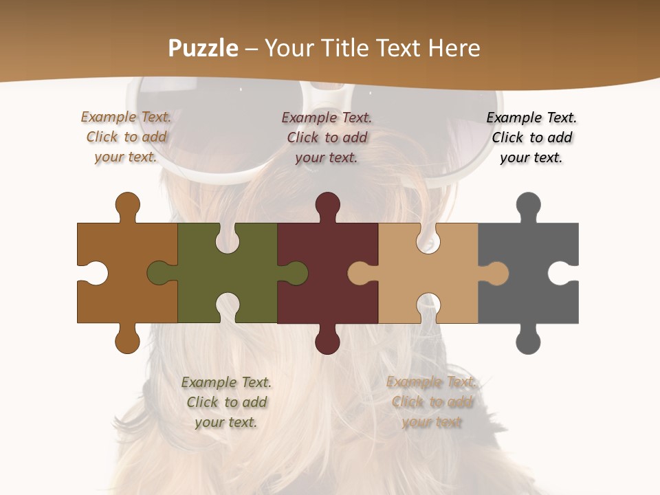 Close Up Nobody Dog PowerPoint Template