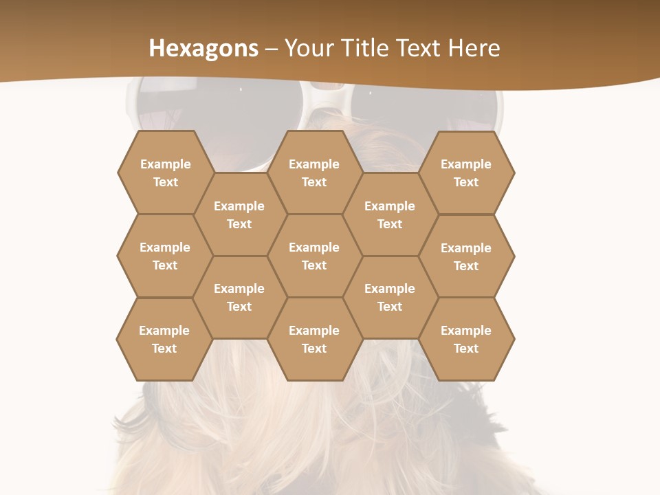 Close Up Nobody Dog PowerPoint Template