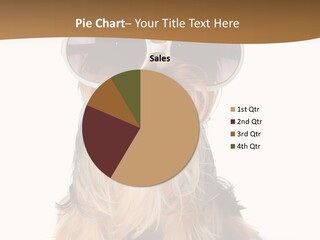 Close Up Nobody Dog PowerPoint Template