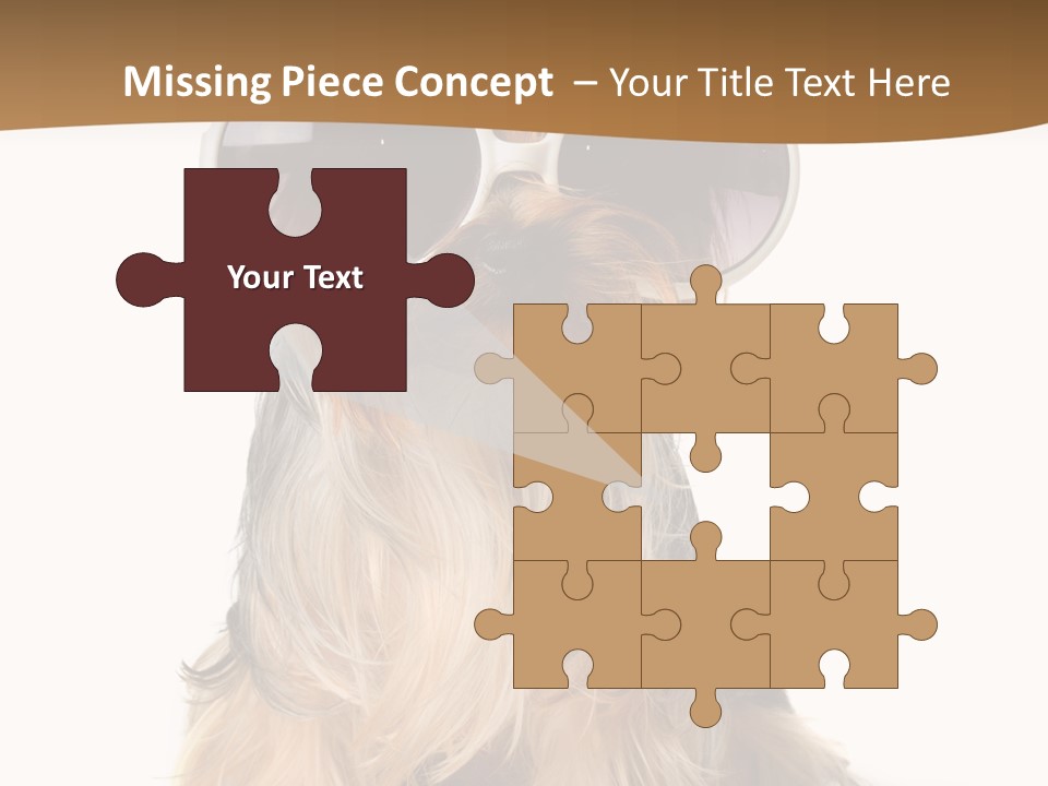 Close Up Nobody Dog PowerPoint Template