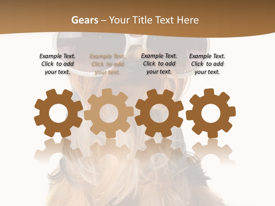 Close Up Nobody Dog PowerPoint Template