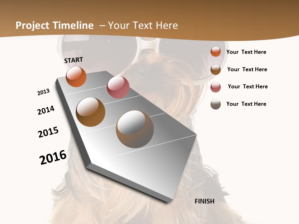 Close Up Nobody Dog PowerPoint Template