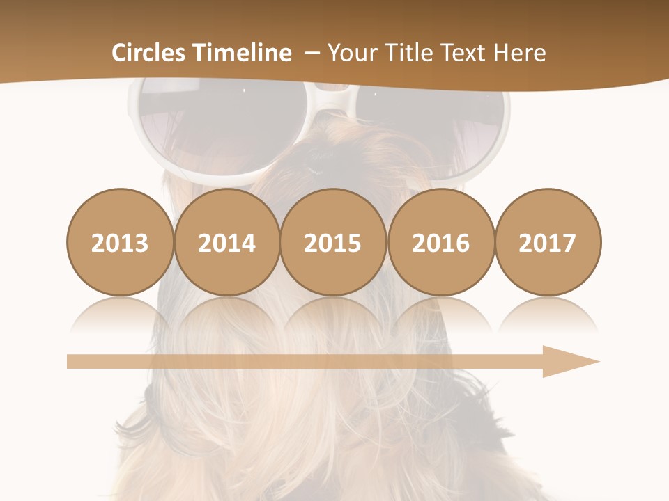 Close Up Nobody Dog PowerPoint Template