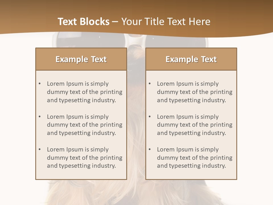Close Up Nobody Dog PowerPoint Template