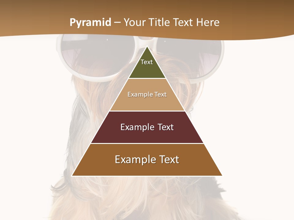 Close Up Nobody Dog PowerPoint Template