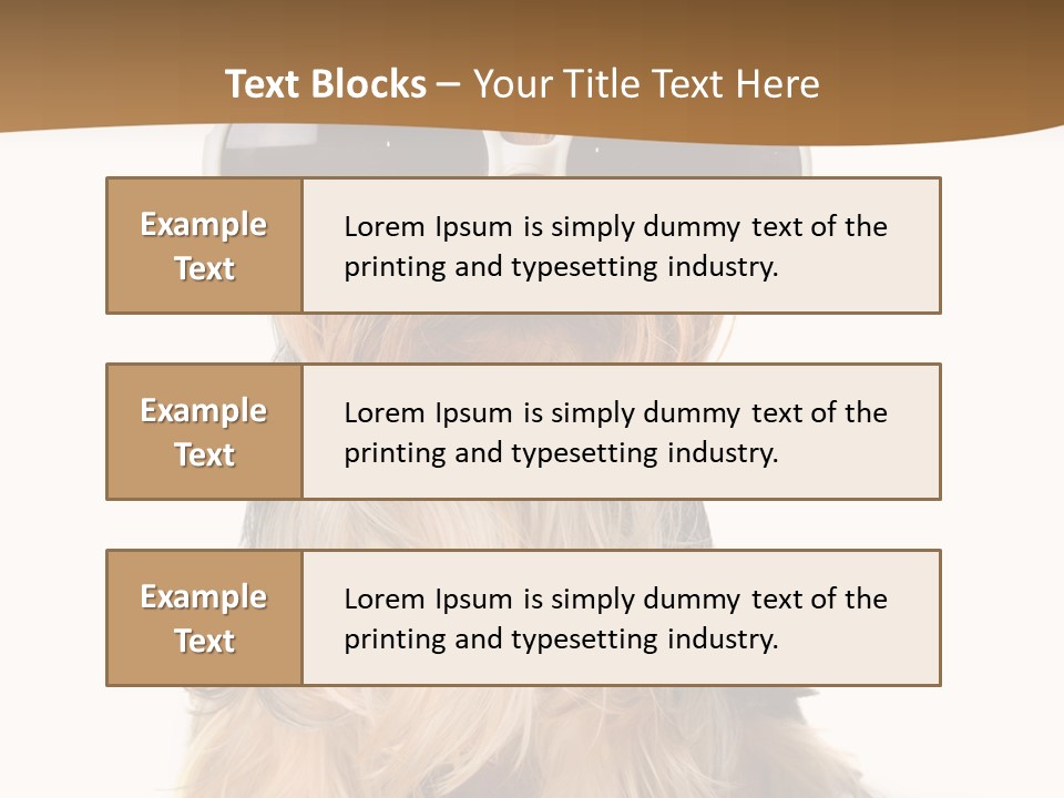 Close Up Nobody Dog PowerPoint Template