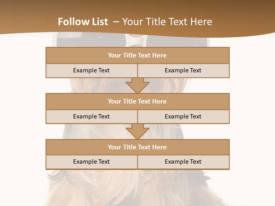 Close Up Nobody Dog PowerPoint Template