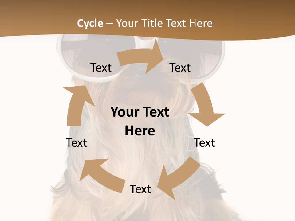 Close Up Nobody Dog PowerPoint Template