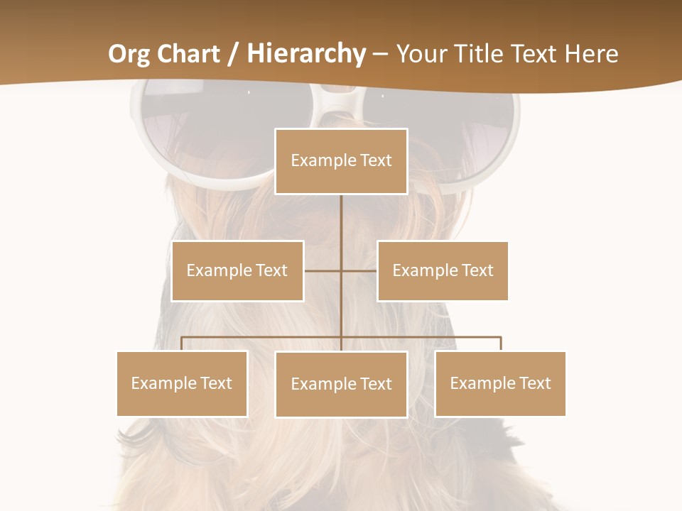 Close Up Nobody Dog PowerPoint Template