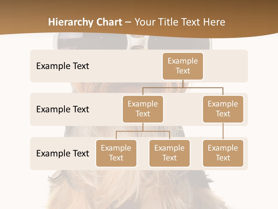 Close Up Nobody Dog PowerPoint Template