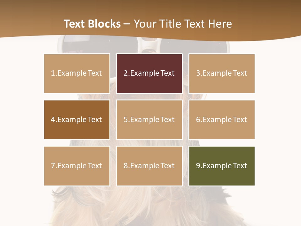 Close Up Nobody Dog PowerPoint Template