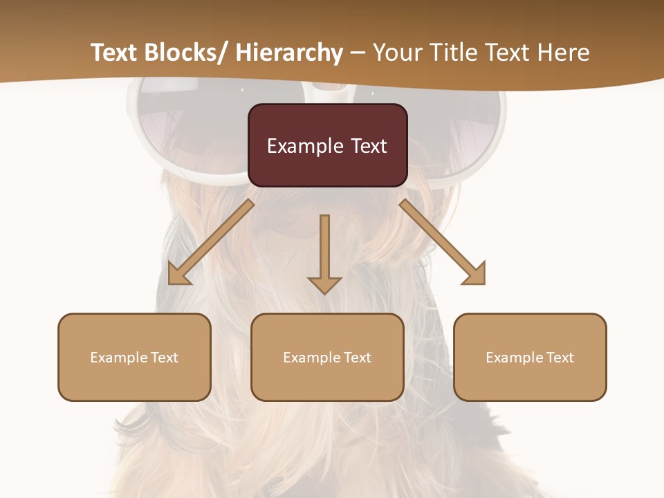 Close Up Nobody Dog PowerPoint Template